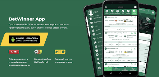 betwinner casino — دليلك الشامل للعب الآمن والمكافآت