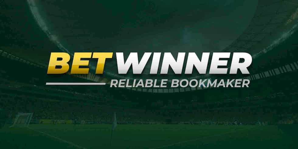 Comprehensive Reviews About BetWinner